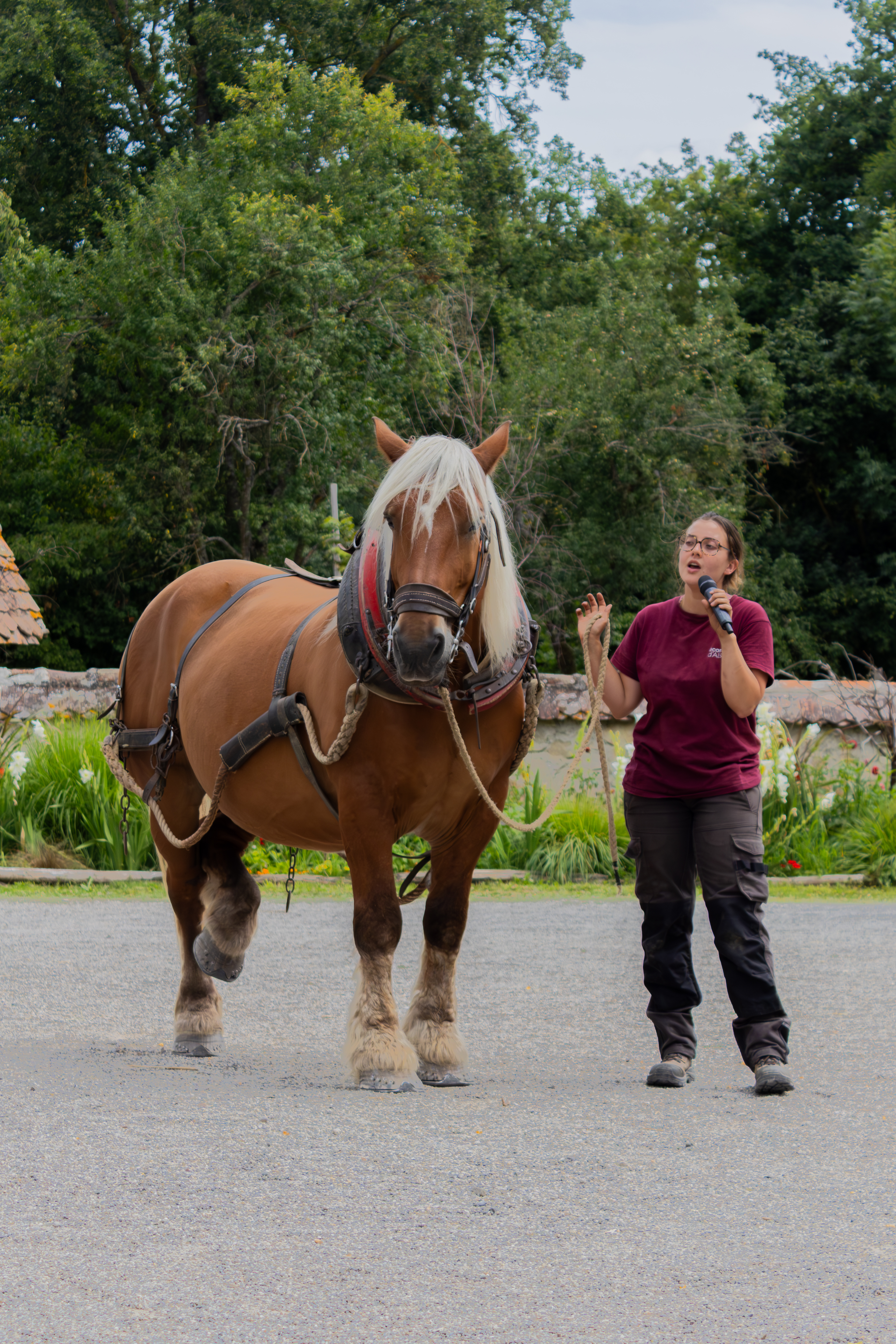 Cheval